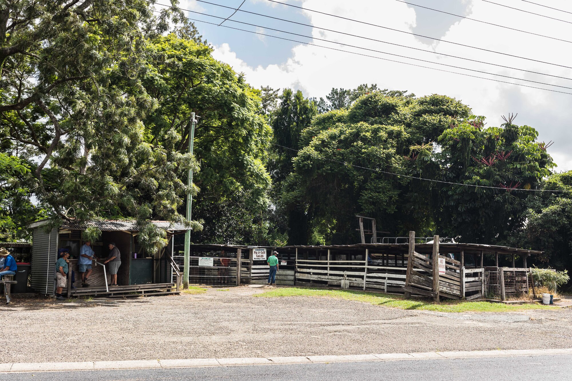 Woodford Saleyards - 129 Archer Street Woodford - shed / kiosk