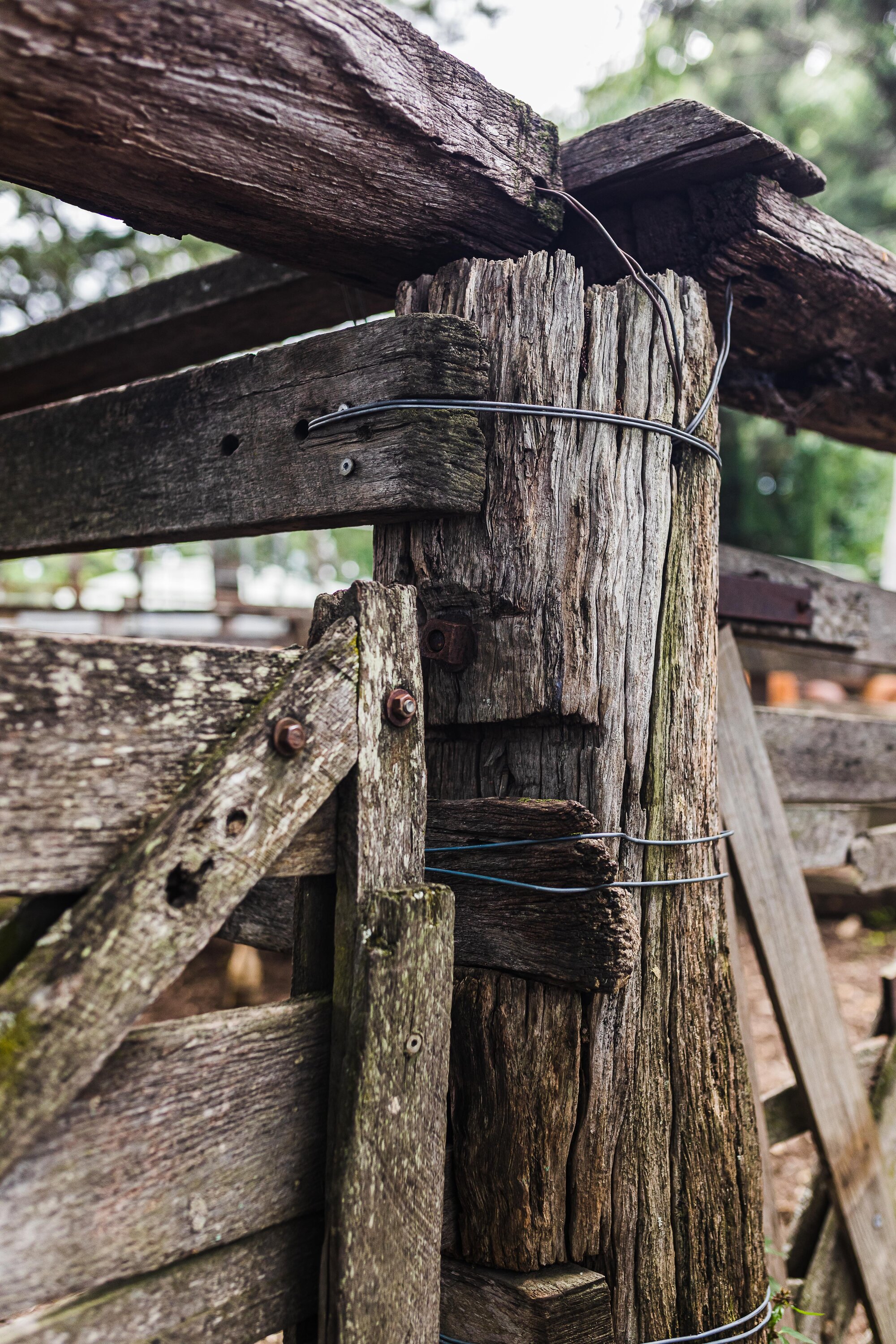 Woodford Saleyards - 129 Archer Street Woodford - close-up of post and rail fence and timber gate used for stockyards