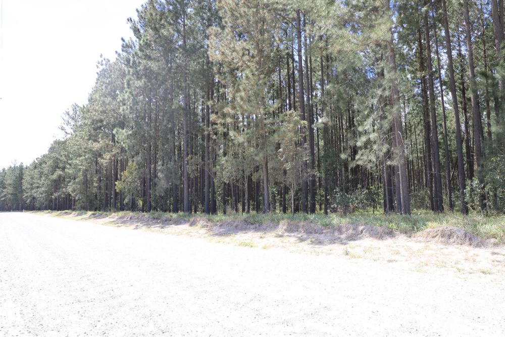 Saint Road Ningi, 2020