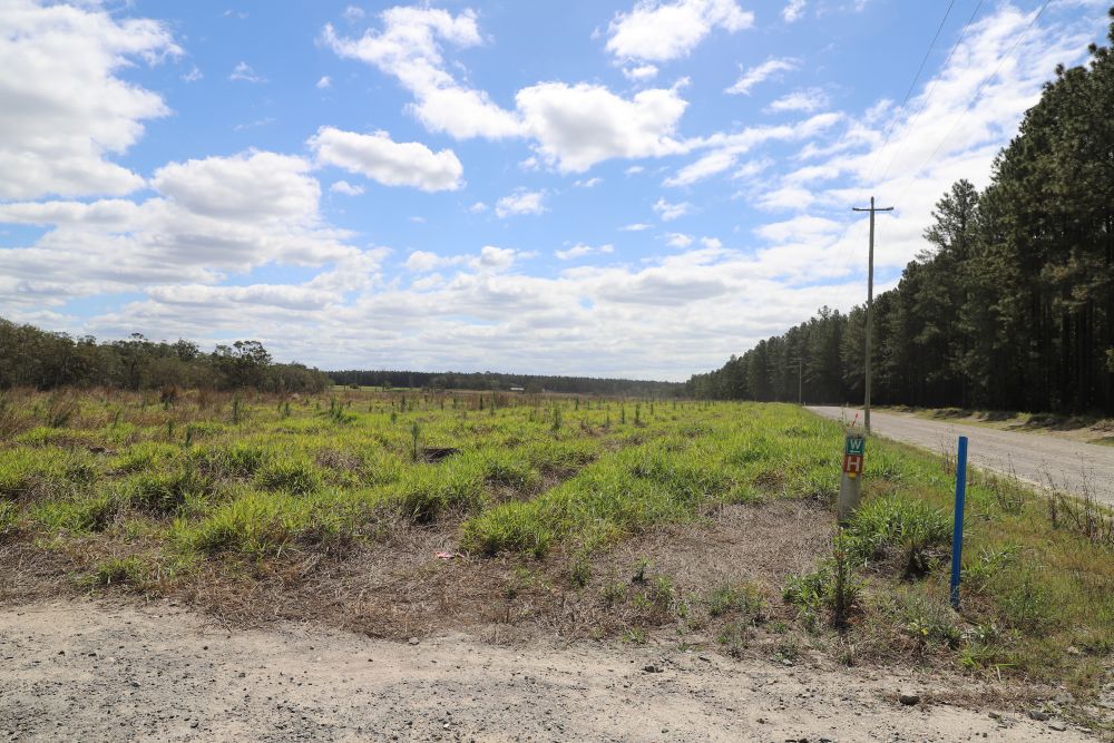 Saint Road Ningi, 2020