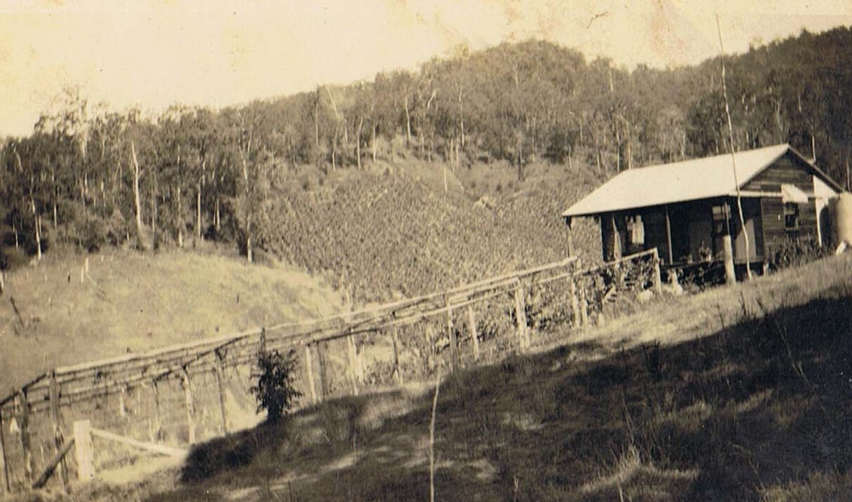 Robert and Clara Smith's farm