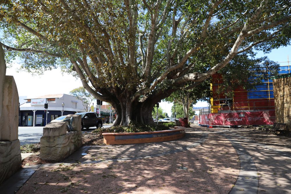 Tree of Knowledge, King Street Caboolture, 2020