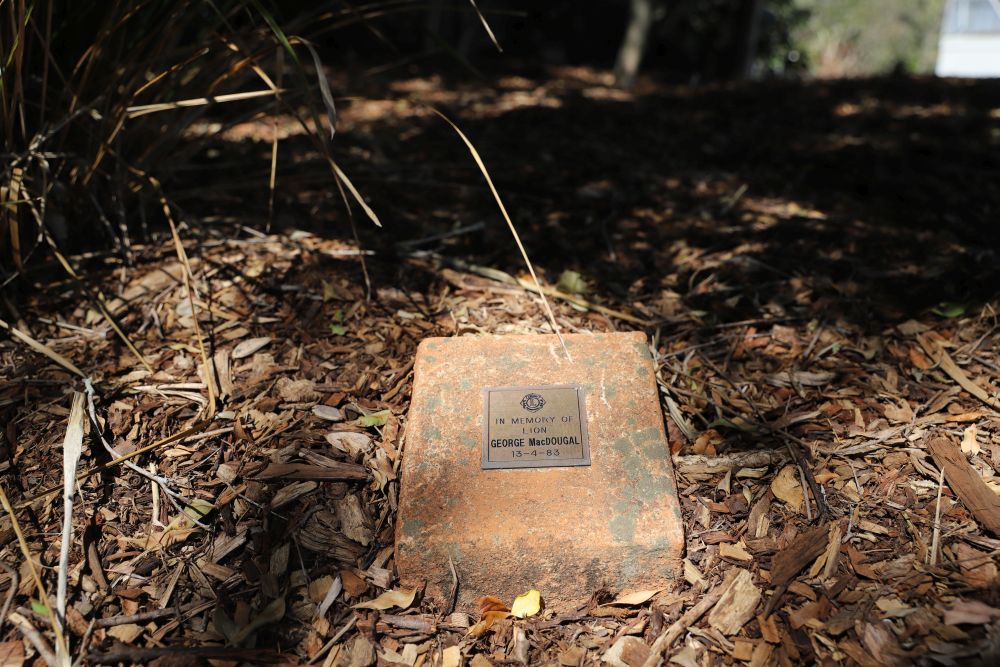 Lions Park, 3 Morayfield Road Caboolture, 2020