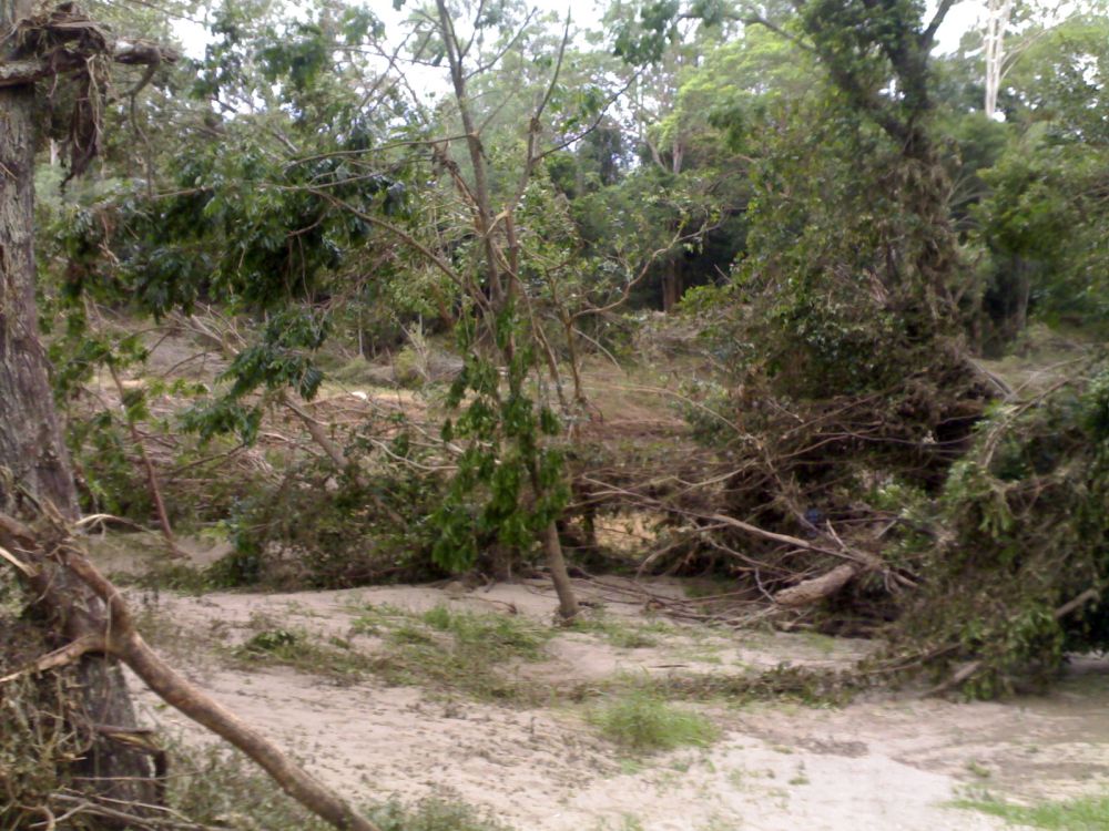 January 2011 Flood Event - Debris left after the North Pine River flooded 