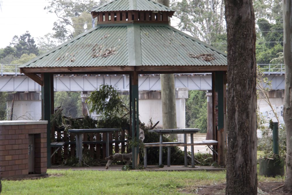 January 2011 Flood Event - Picnic shelter with tables and seating in Wyllie Park Petrie covered in debris after the North Pine River flooded 