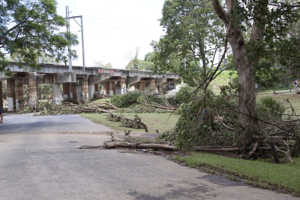 January 2011 Flood Event - Debris in Leis Park Lawnton