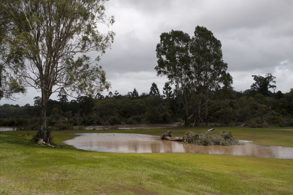 January 2011 Flood Event - Floodwaters in the North Pine River have receded substantially