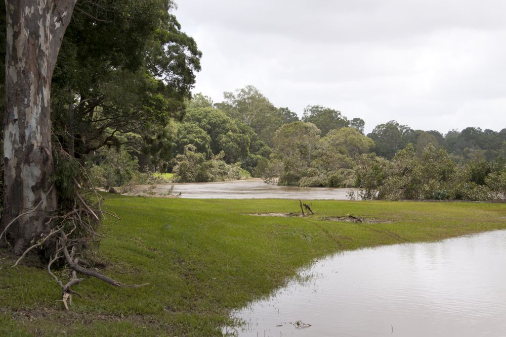 January 2011 Flood Event - Floodwaters in the North Pine River have receded substantially