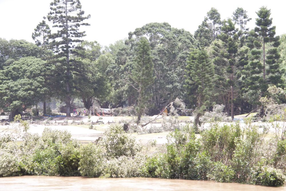 January 2011 Flood Event - Debris in Wyllie Park Petrie