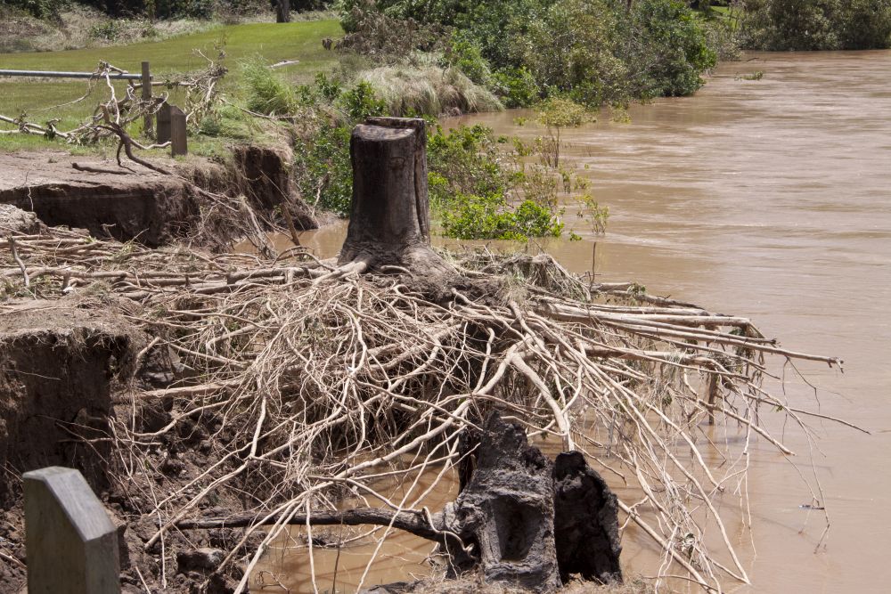 January 2011 Flood Event - Floodwaters in the North Pine River have receded substantially