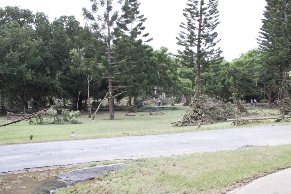 January 2011 Flood Event - Debris in Sweeney Reserve Petrie
