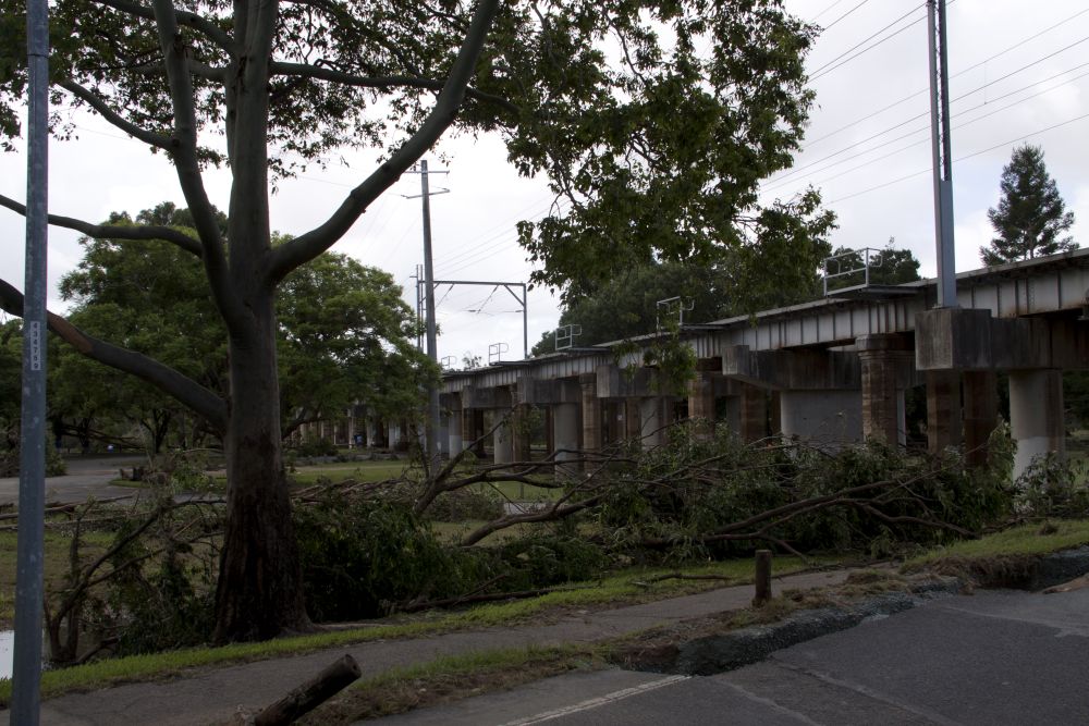 January 2011 Flood Event - Debris in Leis Park Lawnton