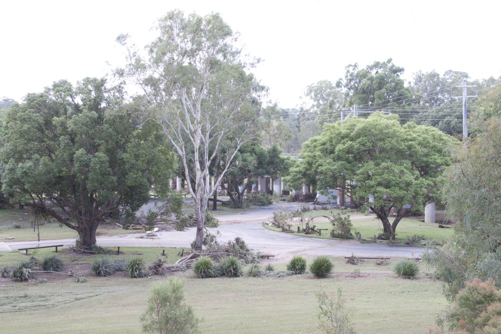 January 2011 Flood Event - Debris in Leis Park Lawnton