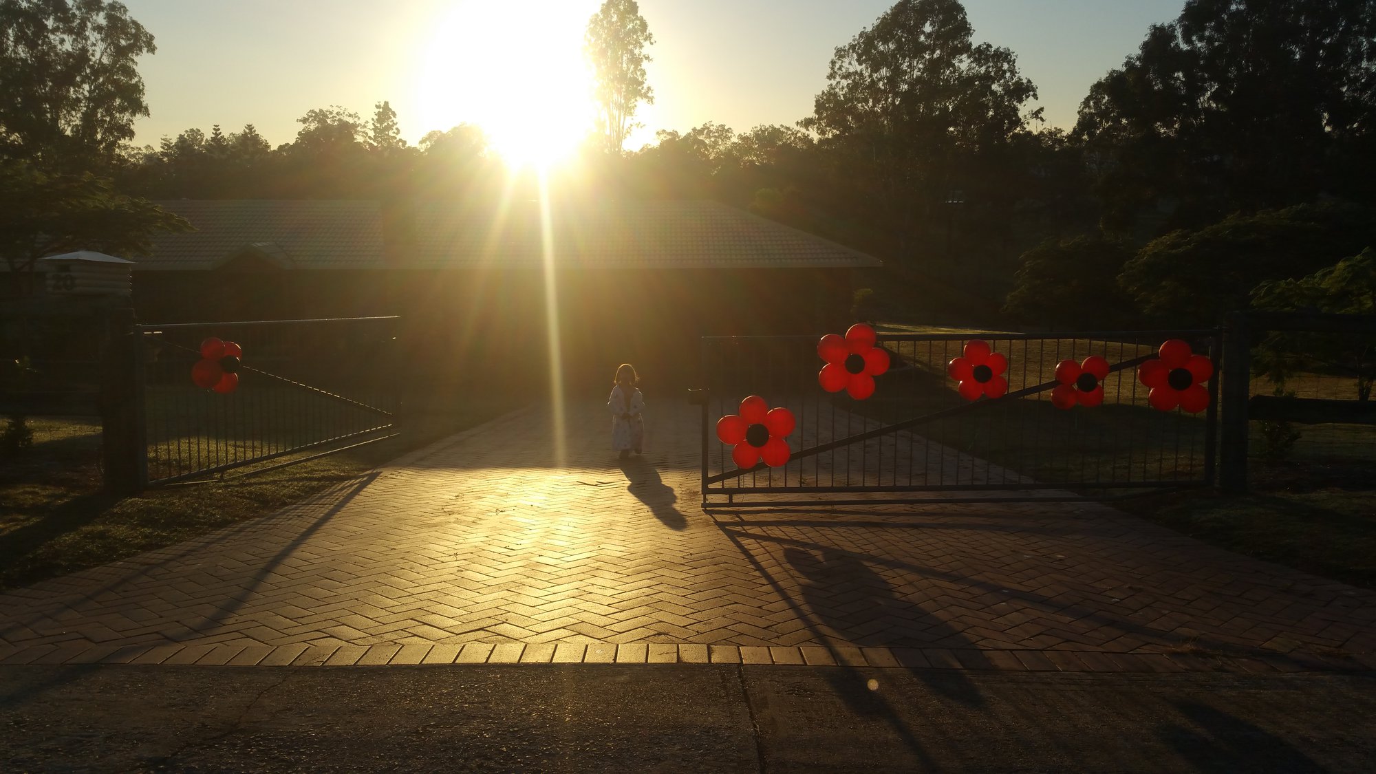 Mountain View Court Samford Valley - 25 April 2020 - Anzac Day dawn service at Mountain View Court