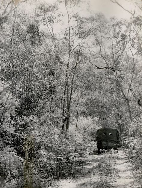 Vehicle on Bush Track - Bribie Island