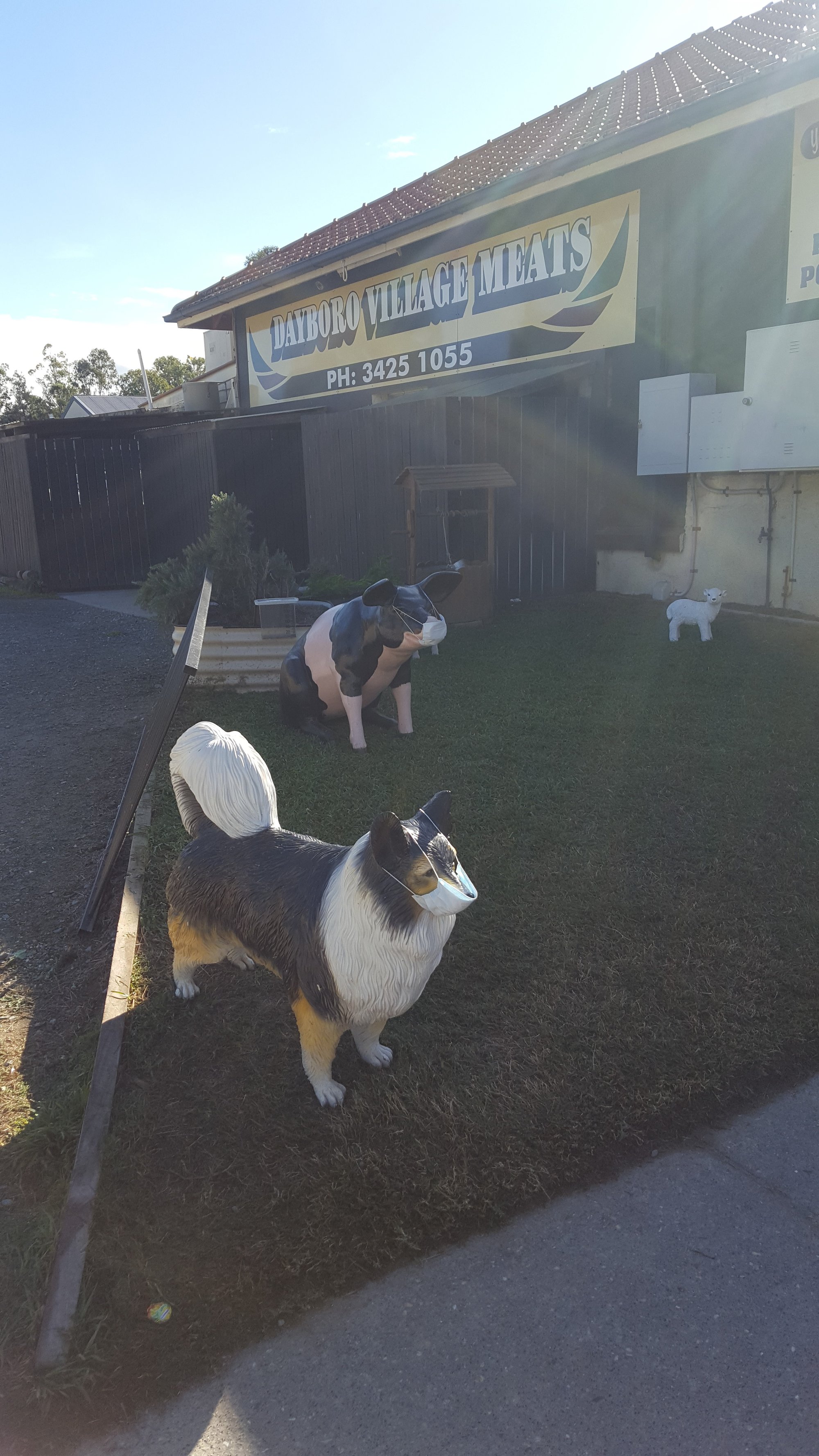 Dayboro Village Meats - Williams Street Dayboro - 30 June 2020 - masks on animal statues
