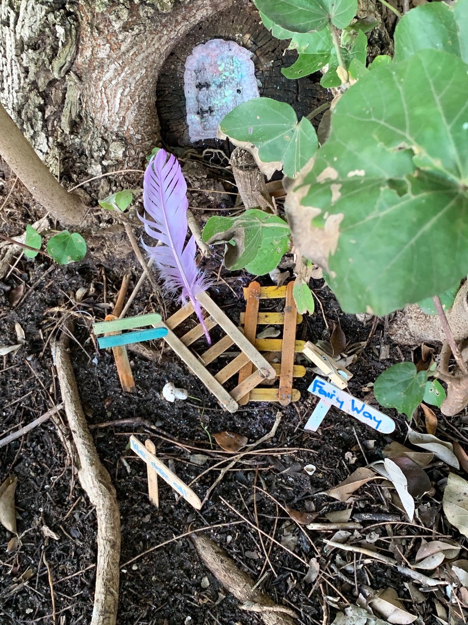 Fairy Way - 201 Esplanade S Deception Bay - 17 July 2020 - fairy house - 001