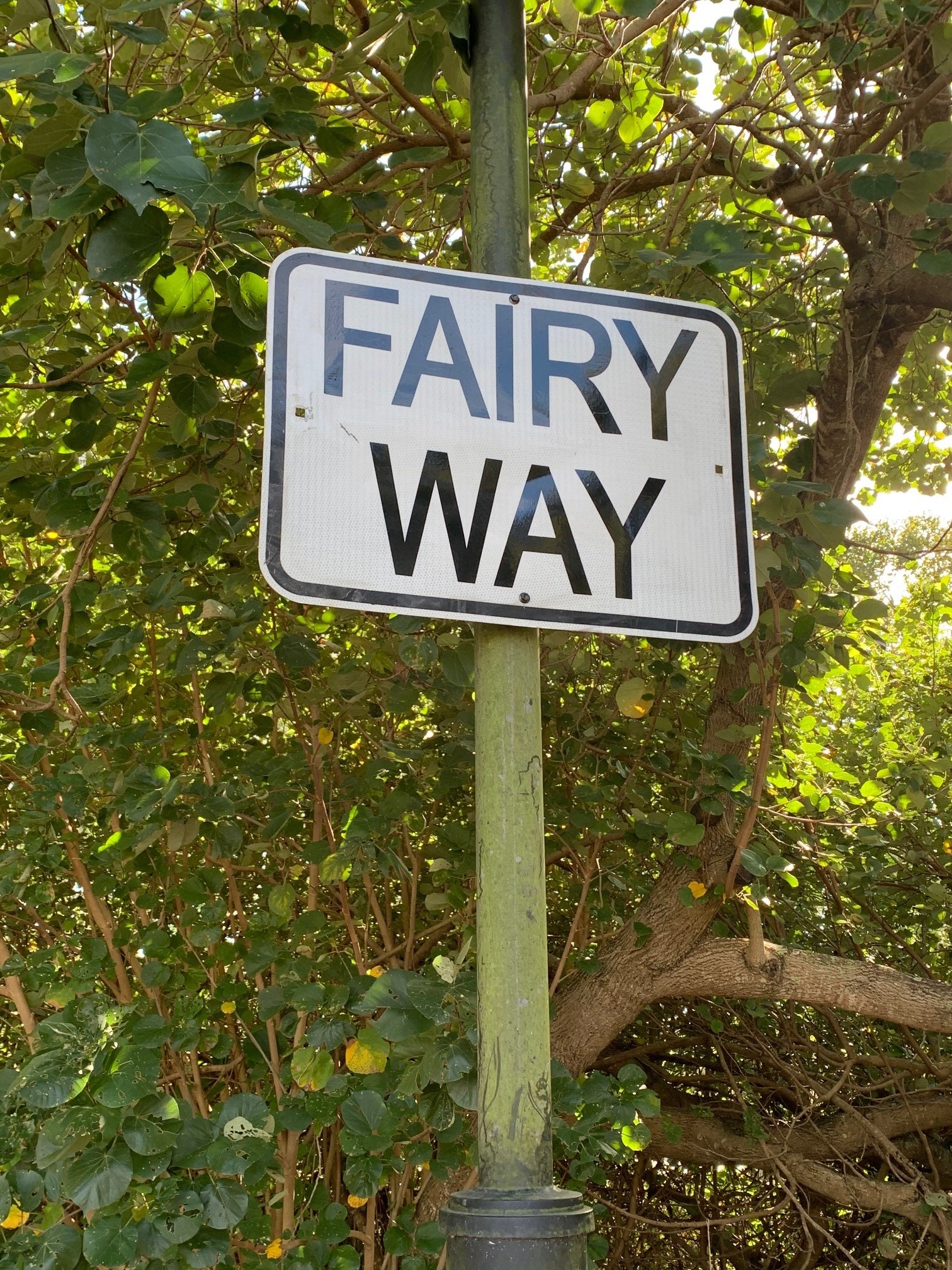 Fairy Way - 201 Esplanade S Deception Bay - 17 July 2020 - public created fairy way sign - 001