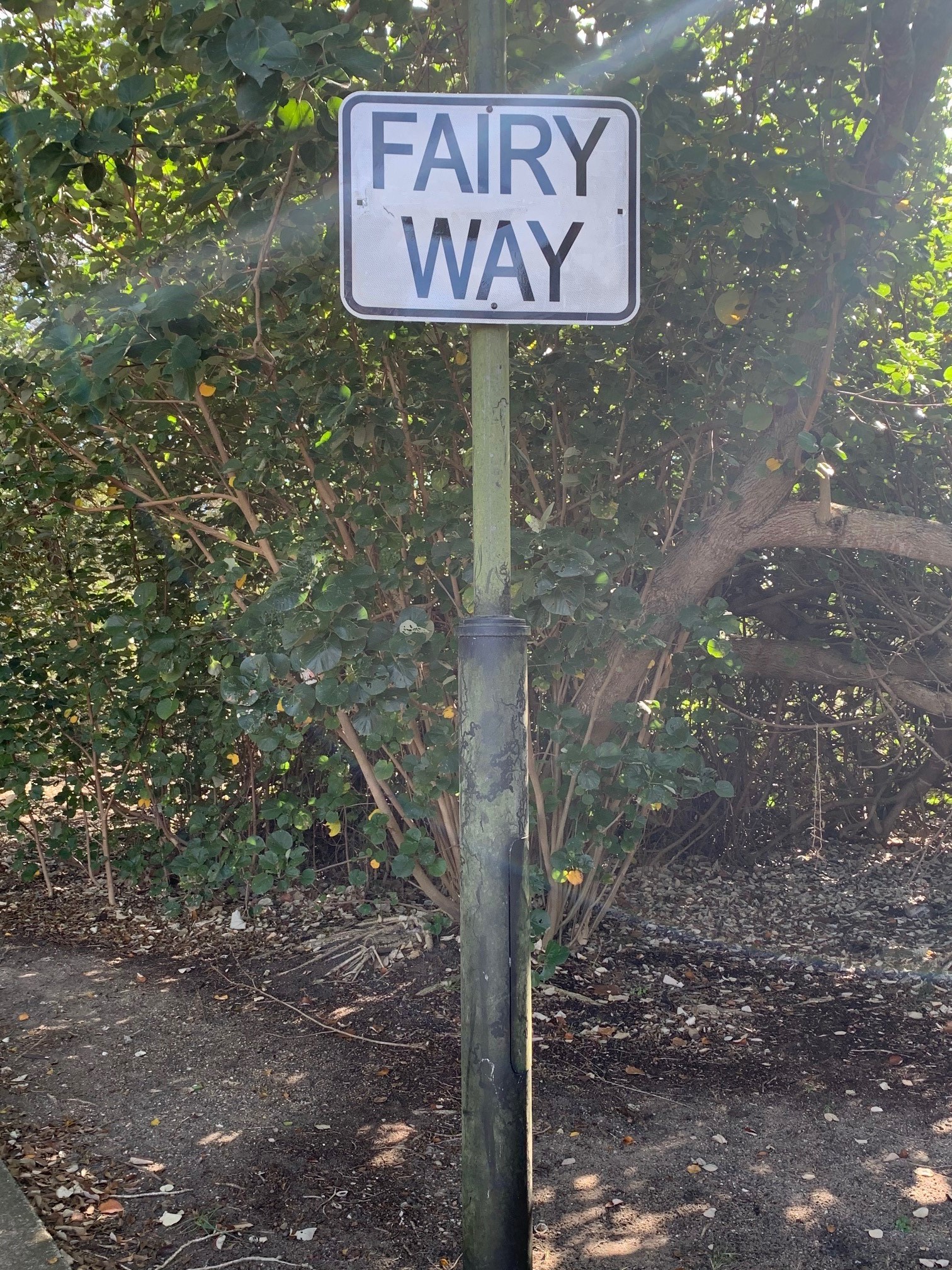 Fairy Way - 201 Esplanade S Deception Bay - 17 July 2020 - public created fairy way sign - 002