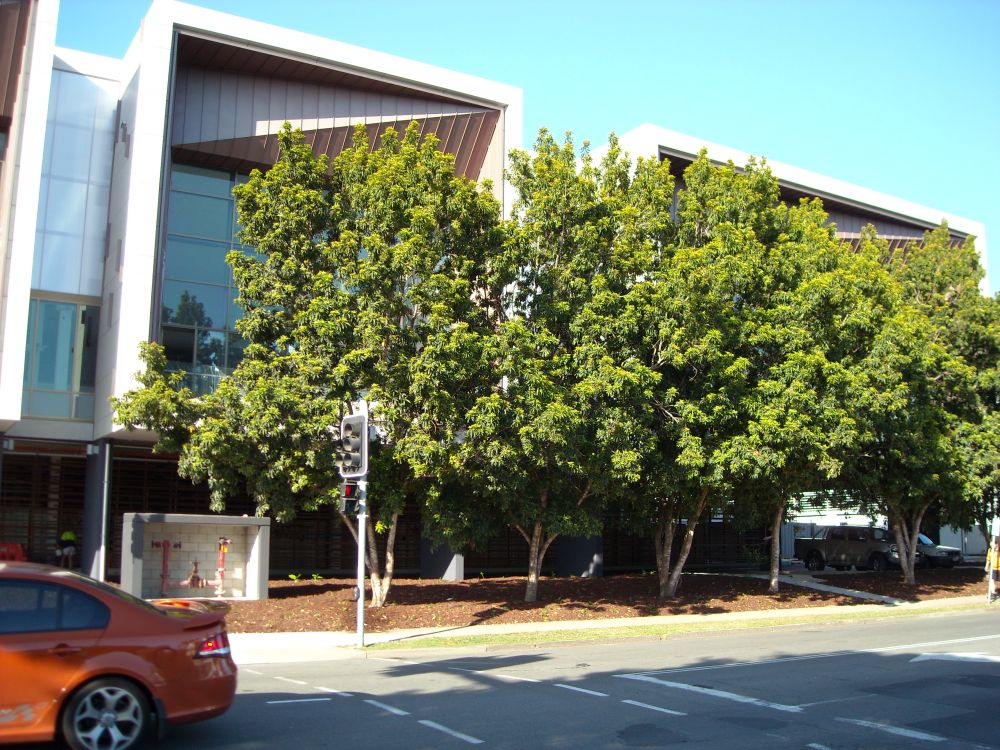 Northern aspect of the new building known as the Caboolture Hub, 4 Hasking Street Caboolture