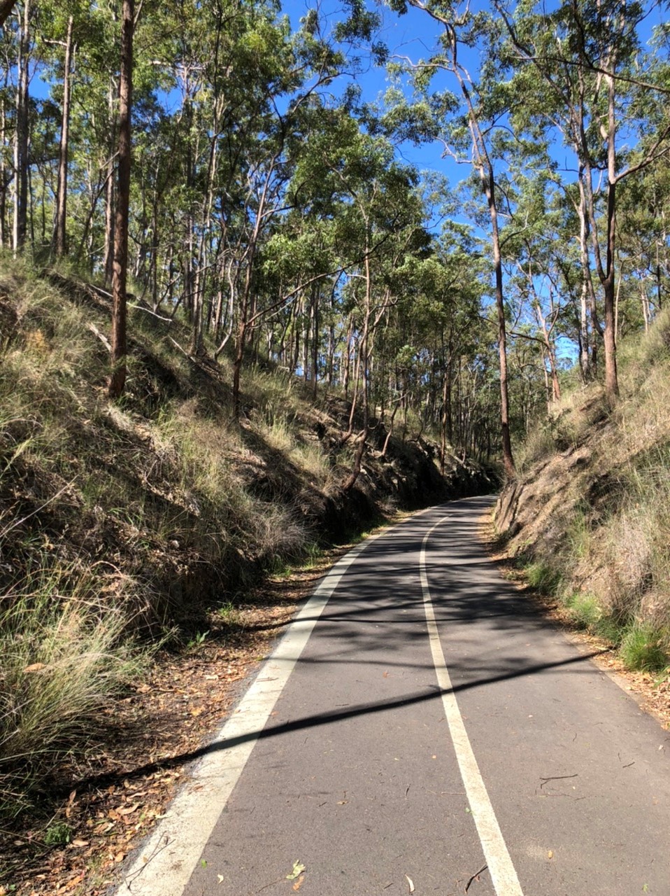Rail trail bikeway - Lanita Road Ferny Hills - 02 May 2020 - Labour Day long weekend bikeway