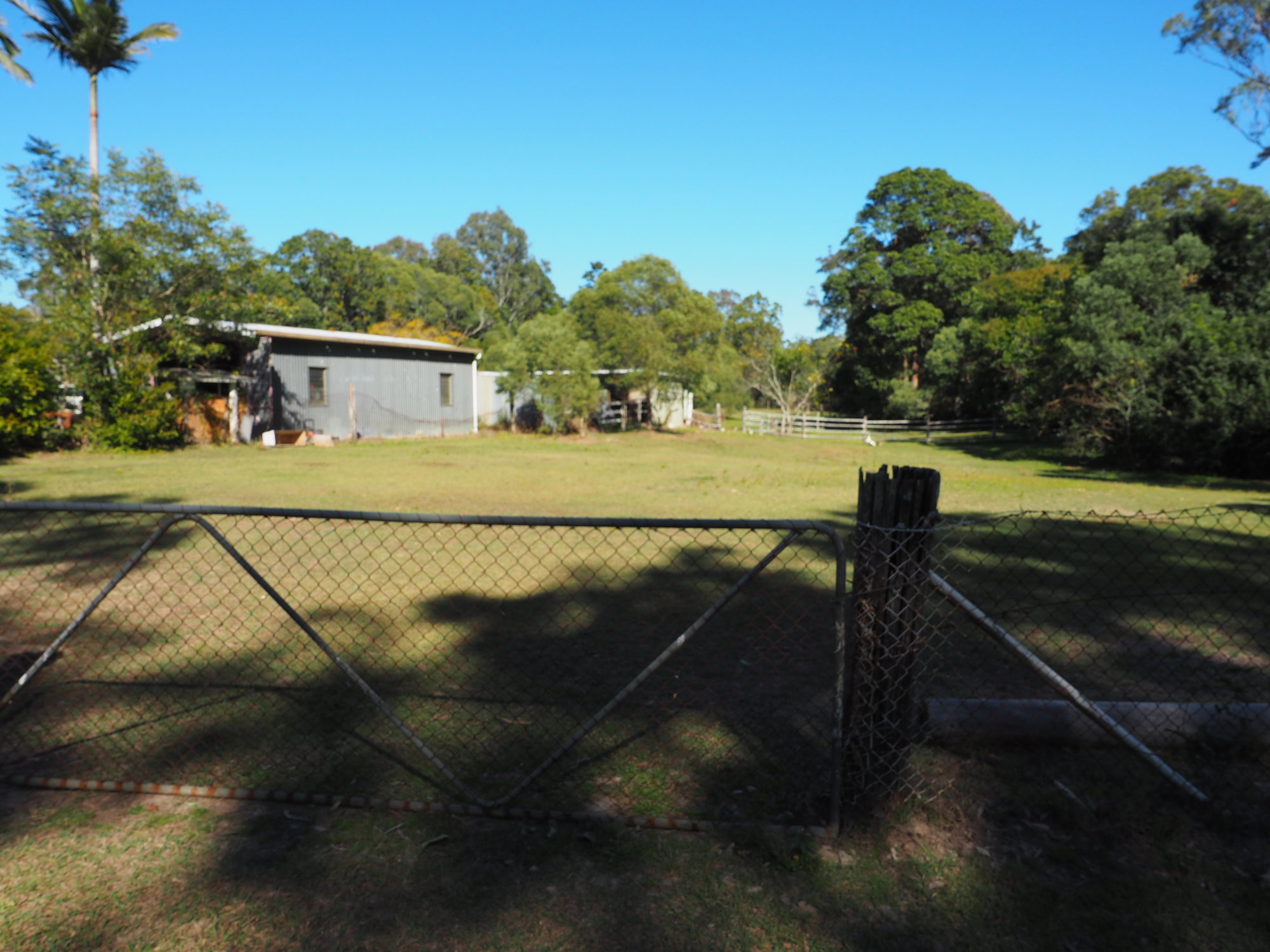 Horse paddock - 31 Gordons Crossing Road East, Joyner