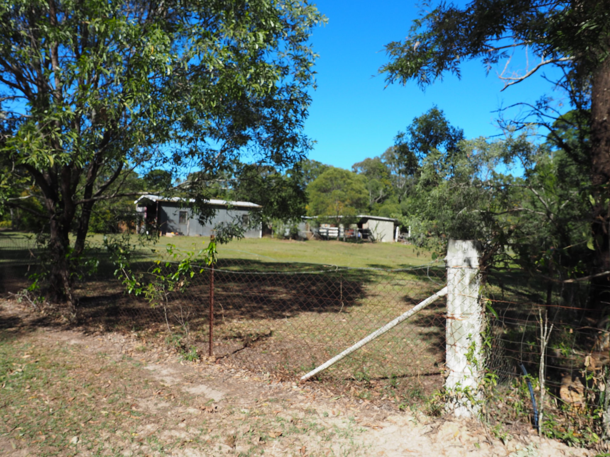Horse paddock - 31 Gordons Crossing Road East, Joyner