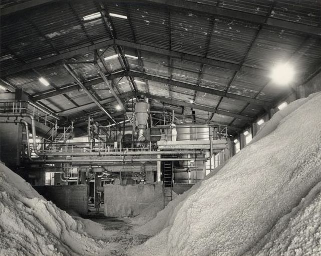 Interior of Shed with piles Paper Ingredient