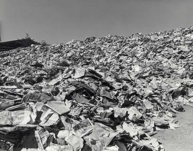 Mountain of Paper / Cardboard for Recycling