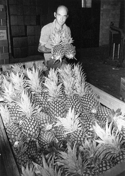 North Coast Ripeners located in Beerburrum Road Caboolture in 1980