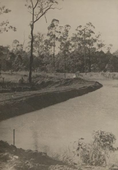 Levy Bank - Water &amp; Trees