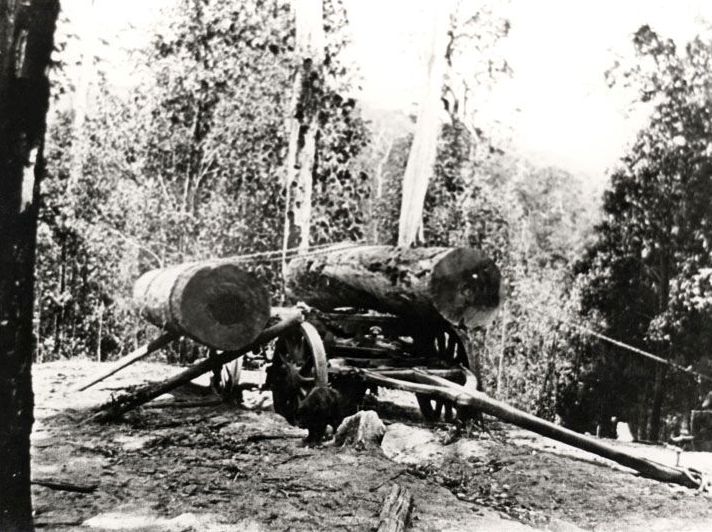 Illustration of loading logs onto a wagon