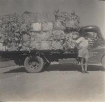 Bales of Waste Paper on an Austin Truck