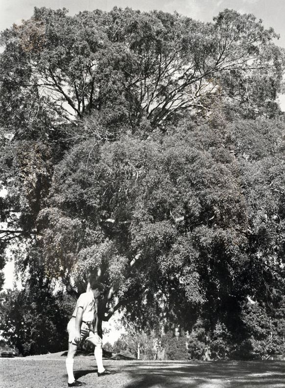 Site of Murrumba Homestead