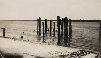 Timber posts in water on beach (Bribie Island?)