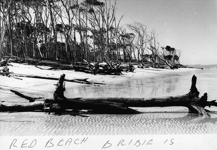 Red Beach on Bribie Island