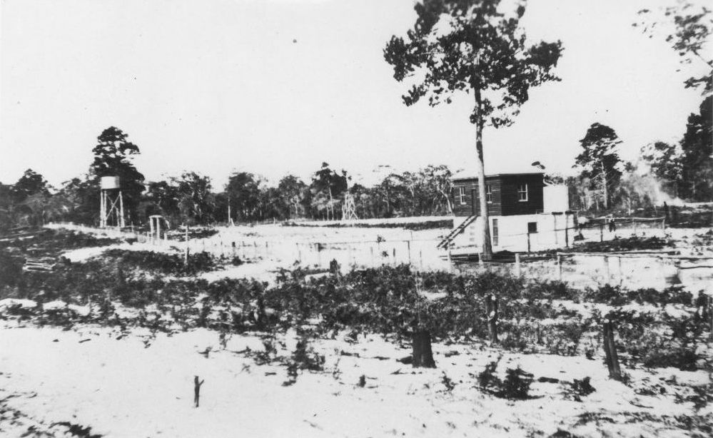 State Nursery on Campbells Road Bribie Island