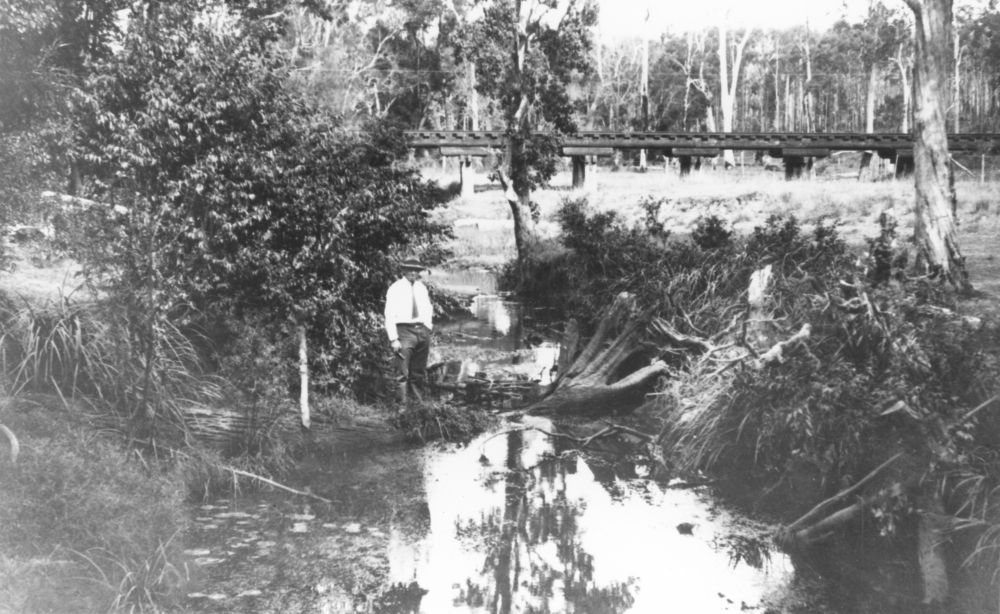 Railway bridge over Monkeybong Creek, ca. 1930s