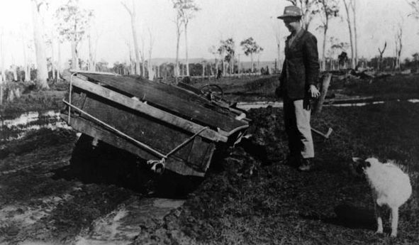 A load of pigs to catch the train