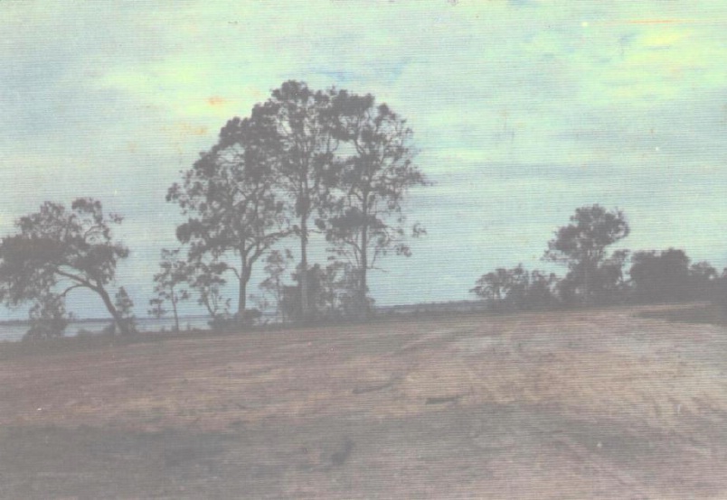 Preparing The Esplanade Toorbul for a bitumen seal