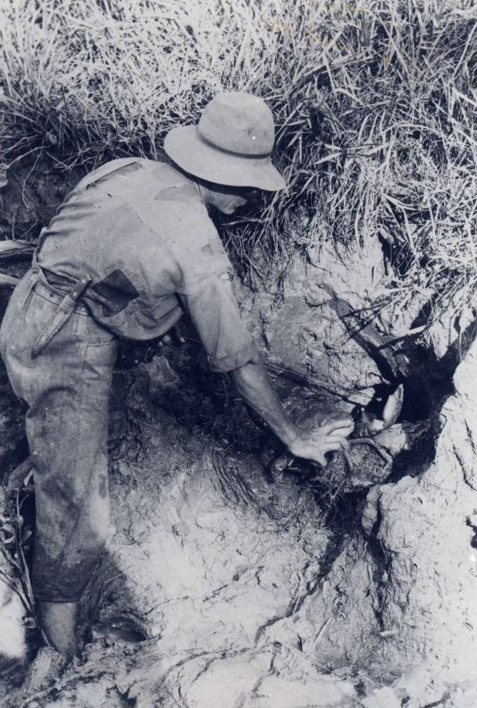 Crab-getting on the banks of Burpengary Creek, ca. 1895