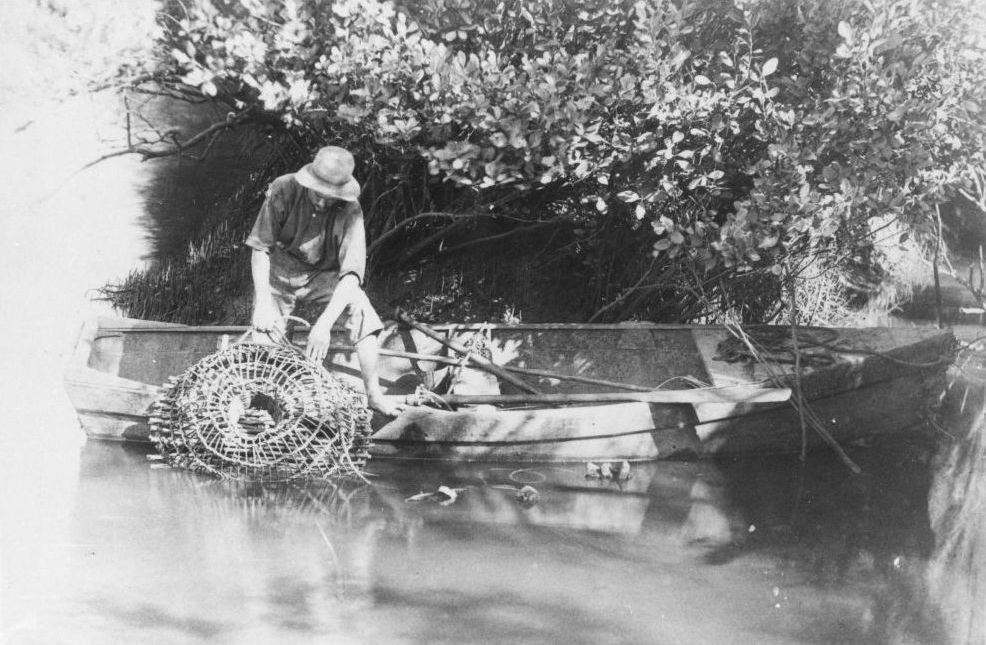 Crab-getting in Burpengary Creek, ca. 1895
