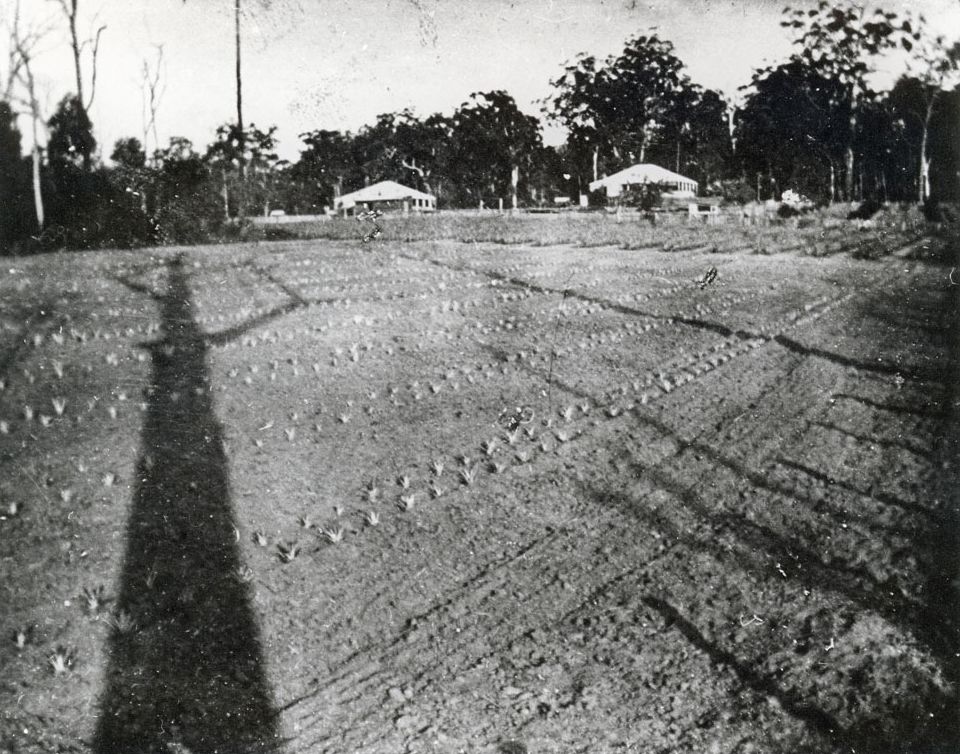 Homes of George Salisbury and Albert Salisbury, ca. 1915