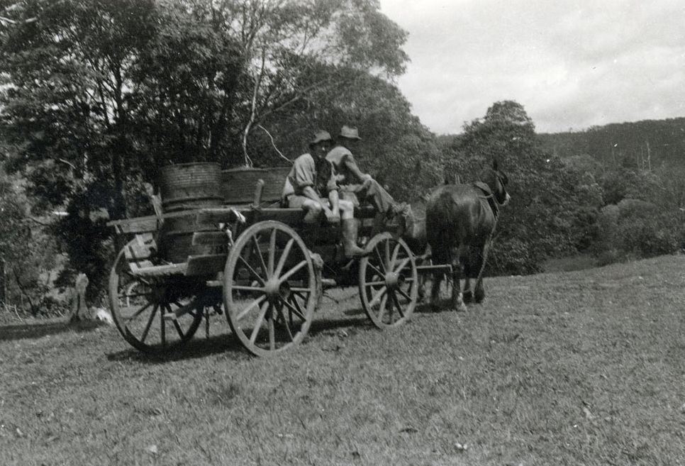 Wagon used to carry bananas to Wamuran Station, ca. 1949