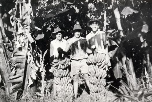 Banana growers on their farm on Campbells Pocket Road, ca. 1949