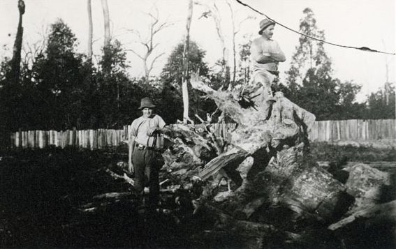 Lou Salisbury and George Salisbury on their Wamuran property, ca. 1920