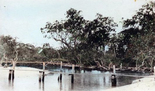 Plank bridge over Shirley Creek at Bongaree, ca. 1920s