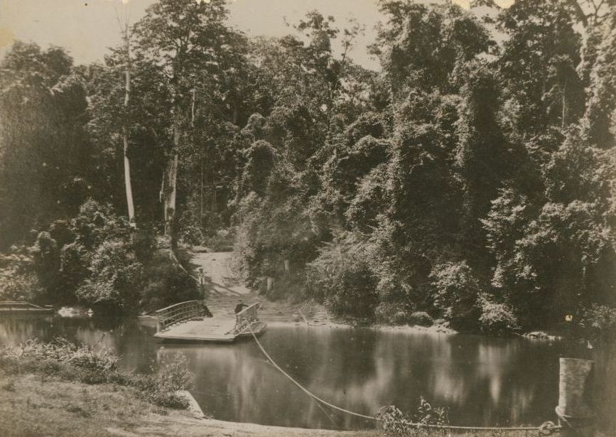 Geddes Ferry used to cross the Caboolture River in 1869