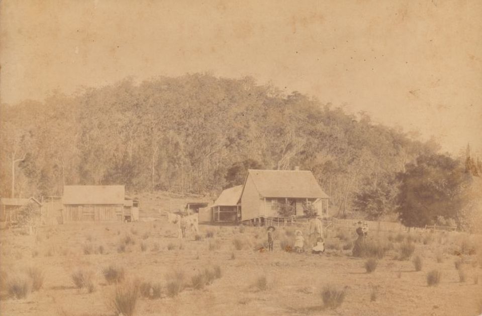The Franz Homestead at Upper Caboolture in 1891
