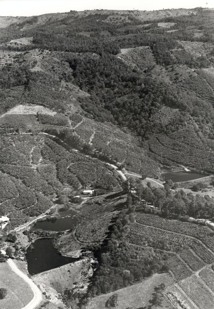 Aerial view of the Wamuran Basin area